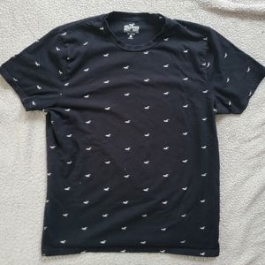 Mens size Large Hollister "Must Have" collection t shirt.